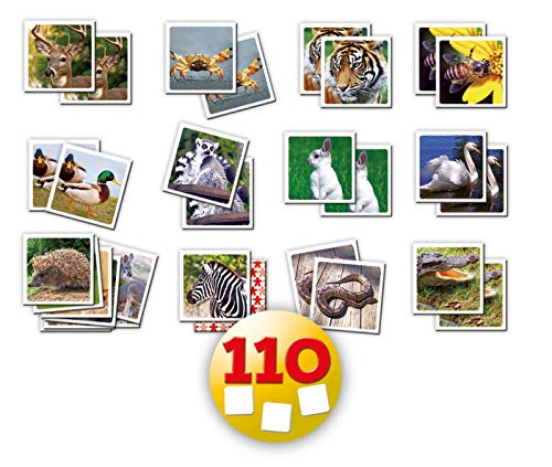 Educa Borrás 14783 - Identic Natura (110 Cartas) , Modelos/colores Surtidos, 1 Unidad