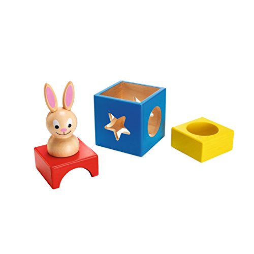 Smart Games - Bunny Boo