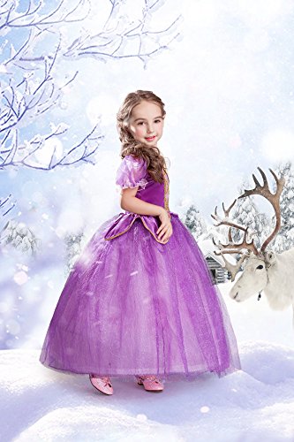 ELSA & ANNA® Princesa Disfraz Traje Parte Las Niñas Vestido (Girls Princess Fancy Dress) ES-FBA-RAP1 (2-3 Años, ES-RAP1)