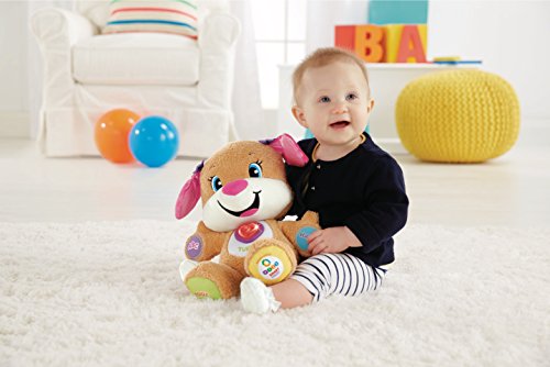 Fisher-Price Perrita primeros descubrimientos, juguete bebé +6 meses (Mattel CGR45)