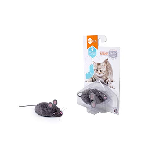 Hexbug- Mouse Cat Toy, colores surtidos (Innovation First 480-4081)
