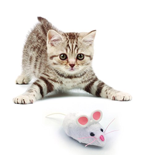 Hexbug- Mouse Cat Toy, colores surtidos (Innovation First 480-4081)