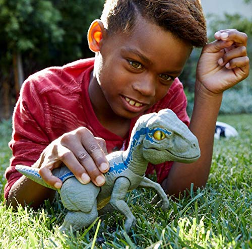 Jurassic World Baby Blue Dino Velociraptor, Dinosaurio de juguete (Mattel GFD40) , color/modelo surtido