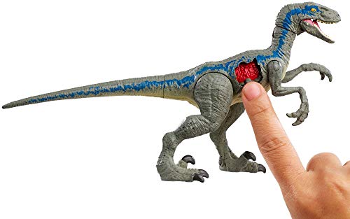 Jurassic World Velociraptor "Blue", dinosaurio de juguete (Mattel FNB33)