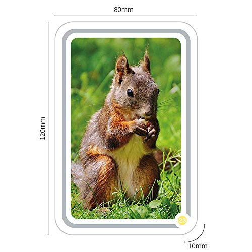 Kakaduu - Mis Primeras Palabras ANIMALES: 50 tarjetas con fotos de animales. El juego educativo Montessori para bebés y niños pequeños.