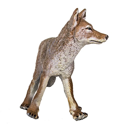 Safari S227229 Wild North American Wildlife Coyote Miniatura