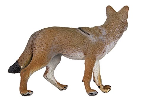 Safari S227229 Wild North American Wildlife Coyote Miniatura