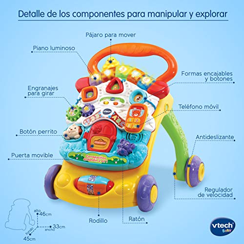 Vtech - Correpasillos Andandín 2 En 1, Diseño Mejorado, Andador Bebé Interactivo Plegable  Versión Española SPB , color/modelo surtido