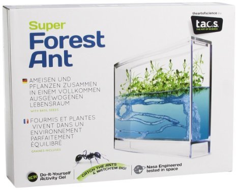 AntHouse Hormiguero de Gel Azul con Plantas (Hormigas Incluidas Gratis)