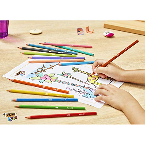 BIC Kids Tropicolors Lápices de Colores (2,9mm) - Colores Surtidos, Blíster de 24 Unidades, para actividades creativas en casa y colegio