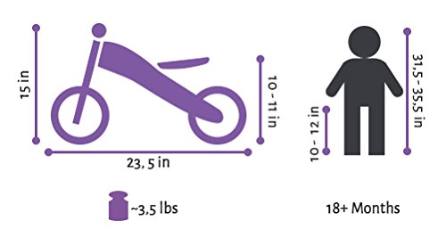 BIKESTAR 2 in 1 Bicicleta sin Pedales Madera para niños y niñas Bici Ajustable 7 Pulgadas | Bicicleta y Triciclo Mini a Partir de 1-1,5 años | 7" Edición Sport Blanco