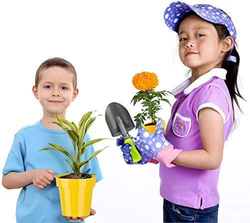 deAO Carretilla y Herramientas de Jardín para Niños y Niñas Juego de Botánica y Jardinería Infantil Conjunto Incluye 10 Accesorios y 4 Macetas