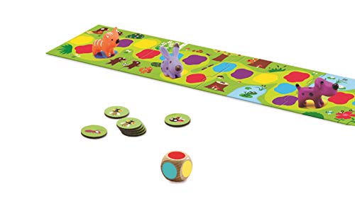 Djeco- Juegos de acción y reflejosJuegos educativosDJECOJuego Little Circuit, Multicolor (15)