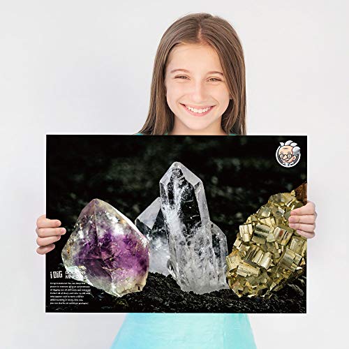 Dr. Daz Excavaciones Rocas Y Minerales Kit De Minerales Excavacion Ciencia Juguetes niños años 7 8 9 10 Geologia Piedras