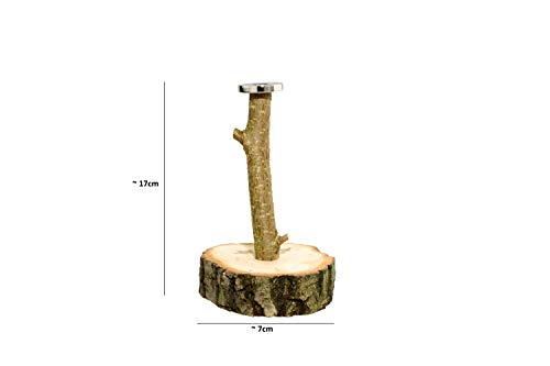 El árbol de la tapa V.2.0 / árbol magnético / árbol de chapas / juego de beber / soporte para chapas / regalo para hombres