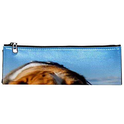 EZIOLY Beagle On Grass - Estuche con cremallera para lápices y bolígrafos (piel, bolsa de maquillaje, bolsa de cosméticos, triangular, para la escuela, el trabajo y viajes)