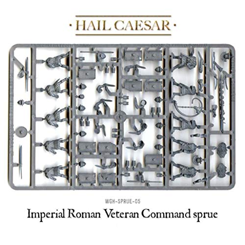 Hail Ceaser 1/56th - Imperial Roman Veterans - 20x Plastic 28mm Miniatures by Warlord Games