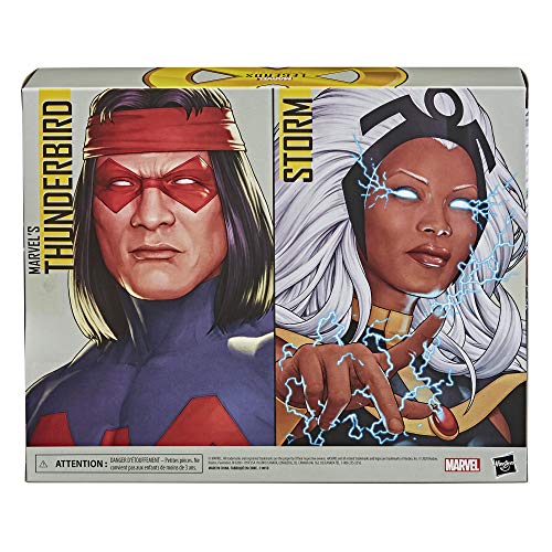 Hasbro Marvel X-Men Series 15-cm Collectible Storm and Marvel’s Thunderbird Action Figure Toys, Ages 4 And Up