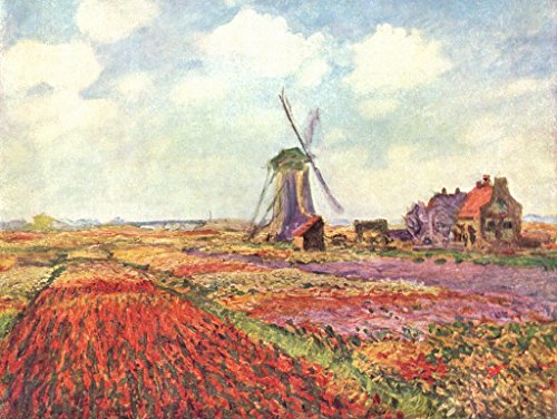 Lais Puzzle Claude Monet - Tulipanes de Holanda 1000 Piezas