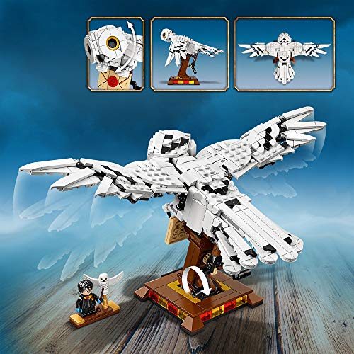 LEGO Harry Potter Hedwig Modelo de Exhibición Figura Coleccionable con Alas Móviles, Multicolor (75979)