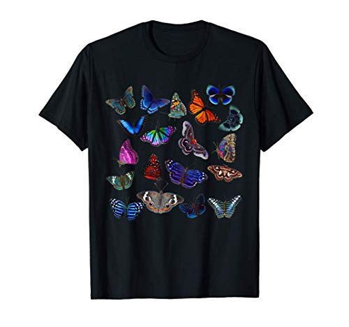 Mariposa coleccionista amor mariposas coloridas Camiseta