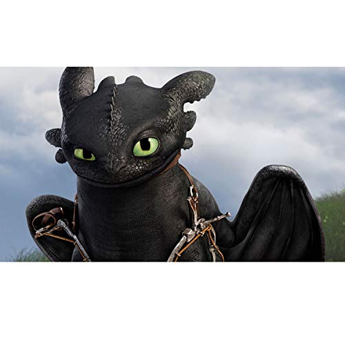Play by Play HTTYD Dragons, como Entrenar a tu dragón - Peluche Desdentado (Toothless) Color Negro Calidad Super Soft 20cm (30cm Cola incluida) - 760017911