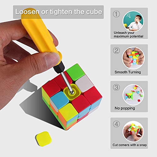 ROXENDA Cubos de Velocidad, Speed Cube Set de 2x2 3x3 Pirámide Stckerless, Sólido Duraderos & Colores Vívidos, Giro Fácil & Juego Suave para Principiantes y Pro
