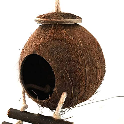 Sairis Cómodo diseño Lindo Concha de Coco Natural Casa de anidación de Aves Periquitos para Mascotas de tamaño pequeño Pinzones Gorriones Jaula con Escalera