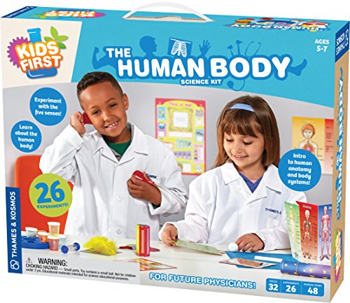 The Human Body (Kids First)