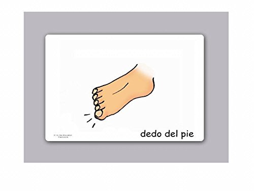 Yo-Yee Flashcards Tarjetas con Ilustraciones para el fomento del Aprendizaje del Idioma - Partes del Cuerpo - para Las Clases de españolen guarderías, escuelas Infantiles y educación Primaria