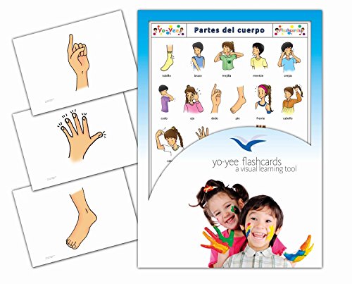 Yo-Yee Flashcards Tarjetas con Ilustraciones para el fomento del Aprendizaje del Idioma - Partes del Cuerpo - para Las Clases de españolen guarderías, escuelas Infantiles y educación Primaria