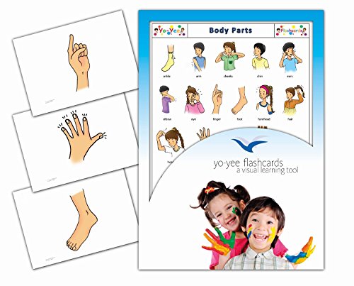 Yo-Yee Flashcards Tarjetas con Ilustraciones para el fomento del Aprendizaje del Idioma - Partes del Cuerpo - para Las Clases de inglés en guarderías, escuelas Infantiles y educación Primaria