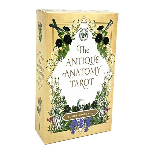 2020 The Antique Anatomy Tarot baraja de 78 Cartas, inglés Completo, adivinación del Destino, Juego de Mesa de reunión Familiar, baraja de Cartas de Entretenimiento