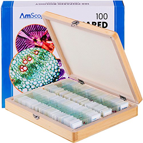 AmScope PS100E 100 Biología preparada para microscopio en casa - Set E
