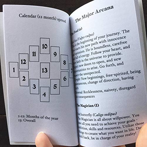 Anima Mundi Tarot Card Deck 78 con la Guía Libro Naturaleza Cubierta Oculta Adivinación Tarjetas Arcanos Mayores y Menores Juego Dorado Origen
