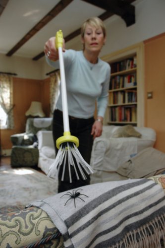 Atrapa arañas, 65 cm