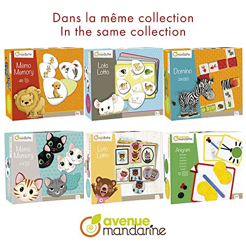 Avenue Mandarine módulo de Juego Educativo – Gatos y Expresiones, Multicolor