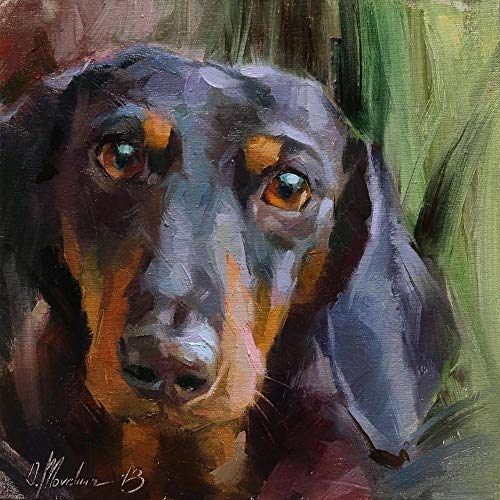 Dachshund pet dog animal - Paint by Numbers Kits - DIY Canvas Painting for Adults Beginner - 16 x 20 inch (Sin marco)