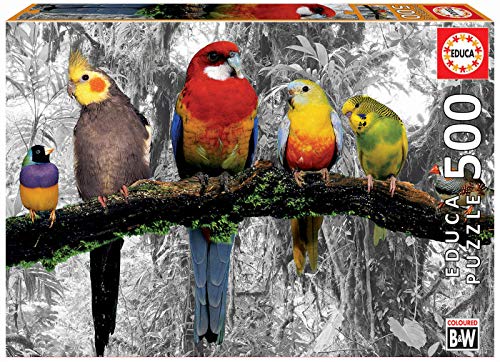 Educa Borras - Serie Coloured B&W, Puzzle 500 piezas Pájaros en la jungla (17984)