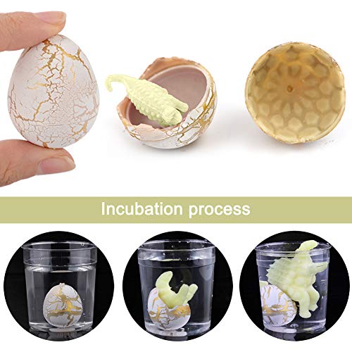 EQLEF Huevos de Dinosaurio Juguete para incubar Cultive Huevos de Dinosaurio Que eclosionan en Agua Mini Huevo de Dinosaurio Juguete Creativo para niños / 60 PCS