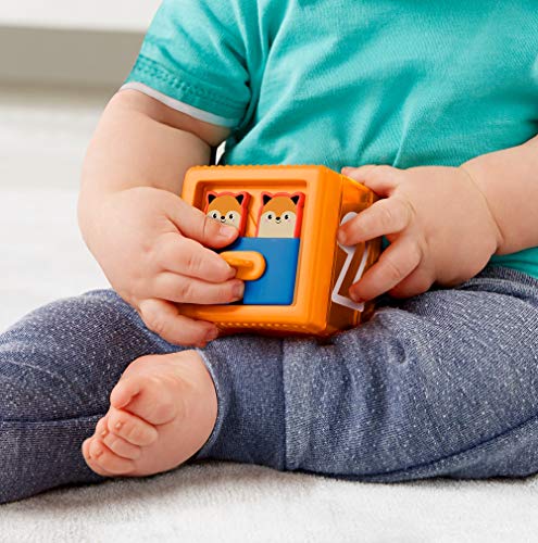 Fisher Price - Bloques Sensoriales, Juguete para Bebés +6 Meses (Mattel GJW13)