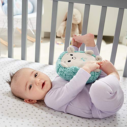 Fisher-Price Erizo Vibración y Sonidos, juguete de cuna y peluche para bebé recién nacido (Mattel FXC66)