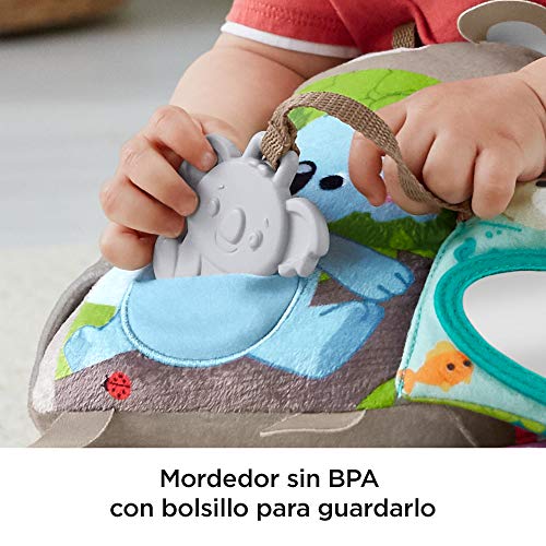 Fisher-Price Libro de actividades juguete para bebé (Mattel GJD37)
