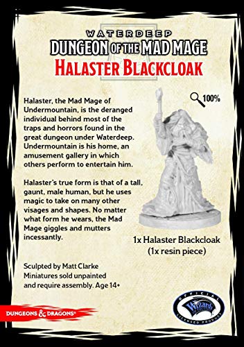 Gale Force Nine 71075 D&D: Dungeon of The Mad Mage: Halaster Blackcloak (1 Personaje)