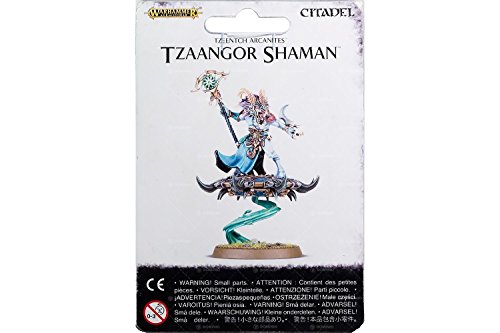 Games Workshop Warhammer Age of Sigmar Tzeentch Arcanites Tzaangor Shaman