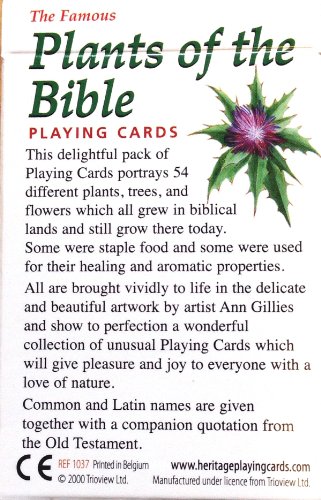 Héritage Cartes À Jouer: pRote de la Bible cartes à jouer