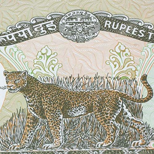 IMPACTO COLECCIONABLES Billetes del Mundo - Colección de Billetes - 17 Billetes Diferentes de Animales