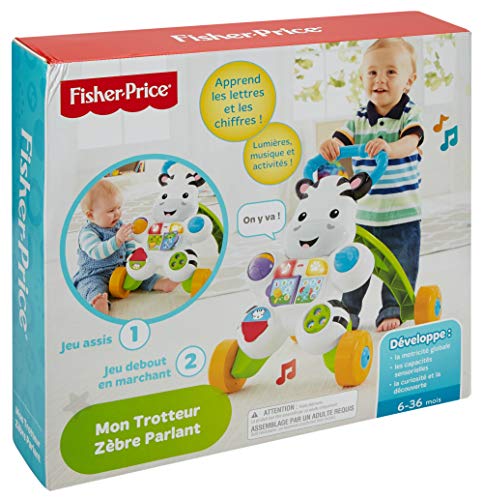 Infant - Cebra parlanchina, Primeros Pasos Fisher-Price (Mattel DLD96) (versión en francés)