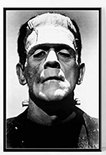JCYMC Rompecabezas 1000 Piezas Montaje De Imagen Frankenstein 1931 Clásico Terror Sci-Fi Película Art Silk Deco para Adultos Juegos Juguetes Wq84Xz