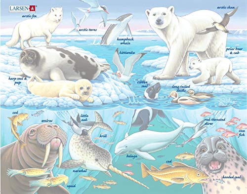 Larsen FH11 La Vida Silvestre en y Alrededor de un Iceberg ártico, Puzzle de Marco con 75 Piezas